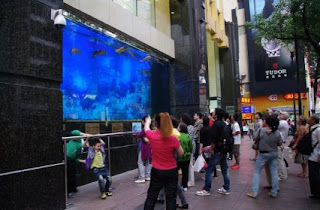 shanghai shopping mall aquarium