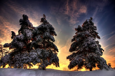 Beautiful+Nature+By+WwW.7ayal.blogspot.CoM+(24).jpg