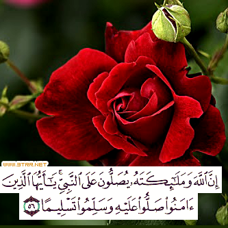 اضغط على الصورة لرؤيتها بالحجم الطبيعي