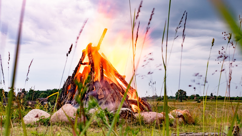 Fire in the Green Grass