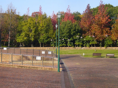 寝屋川公園 中央広場