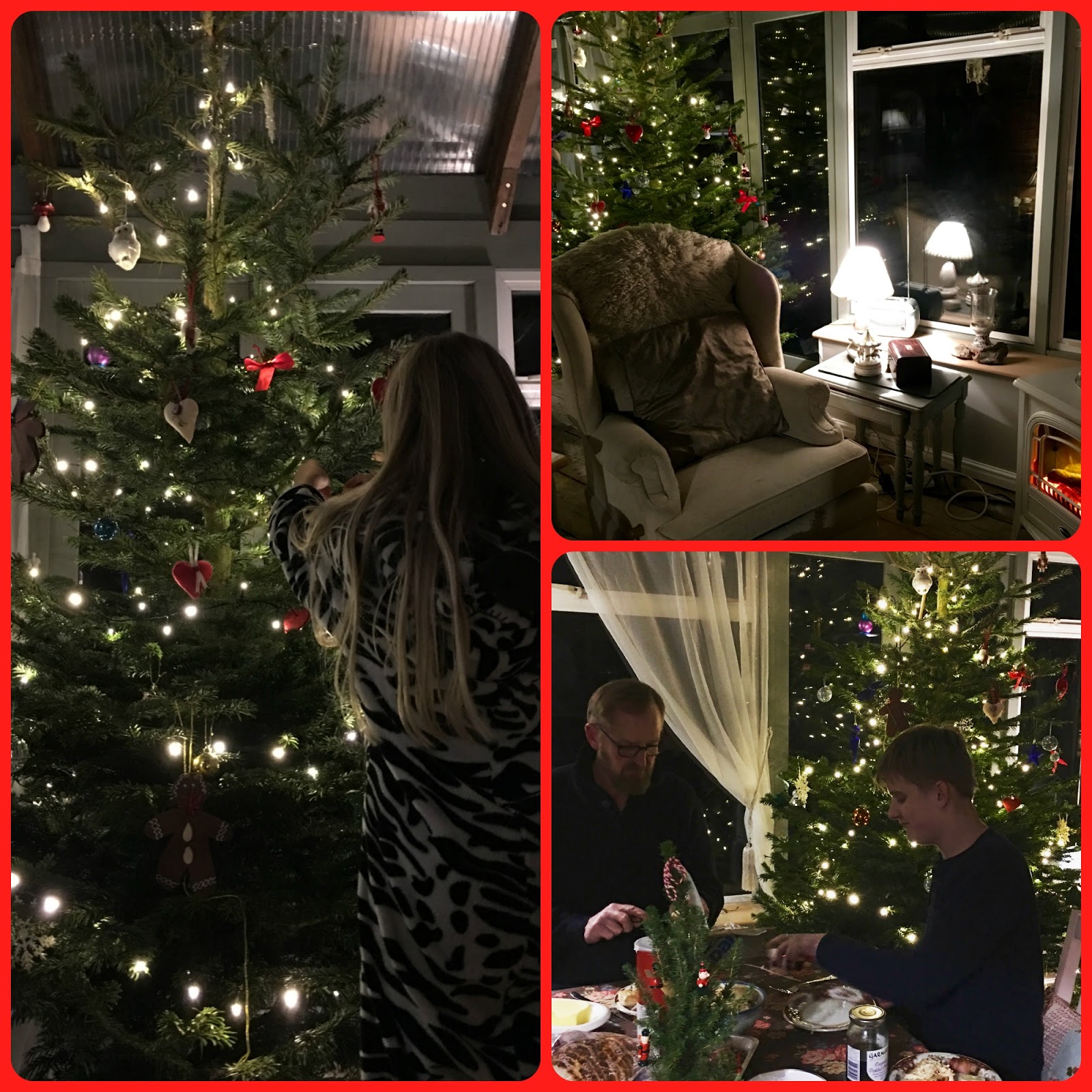 Treetastic delivery service from Pines and Needles Christmas Tree