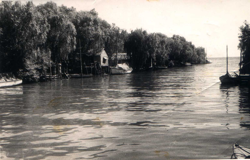 mancuso ¿QUÉ HACEMOS CON EL ARROYO MEDRANO?