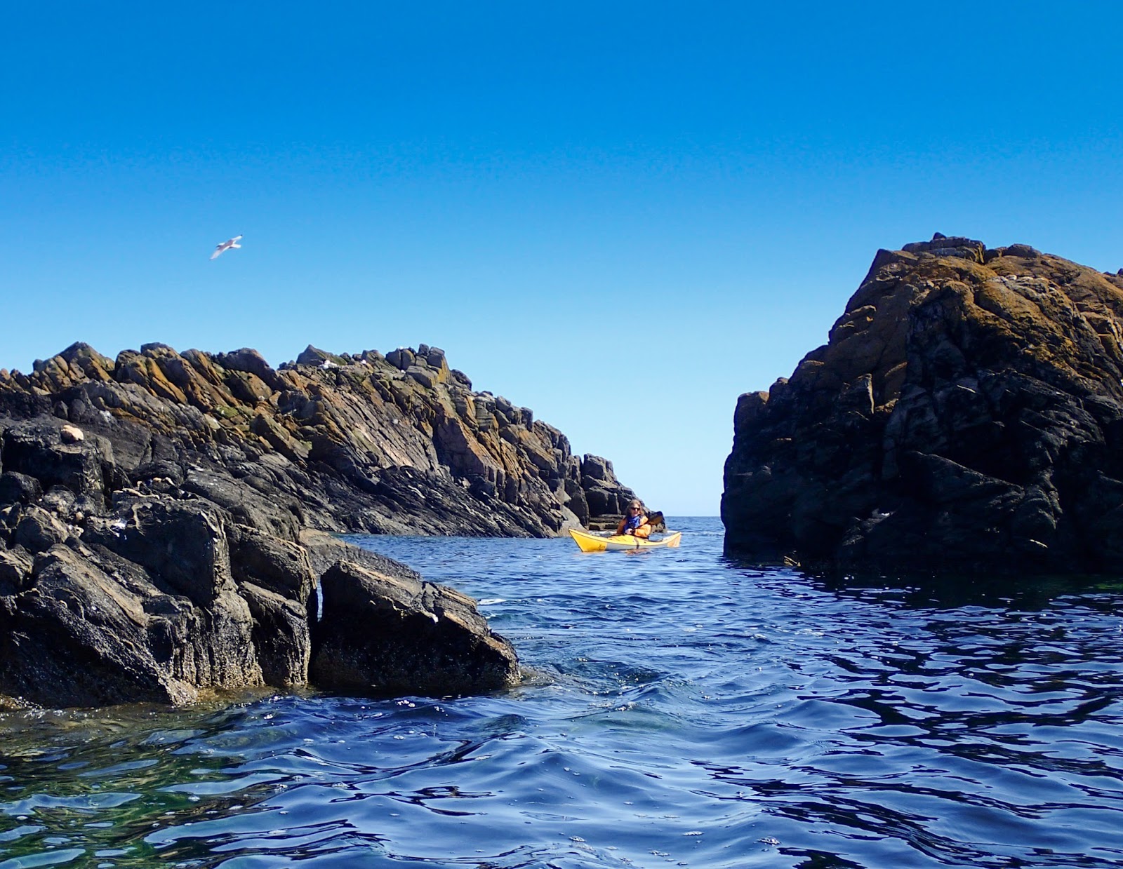 Mountain and Sea Scotland A Transatlantic (sea kayak) Session