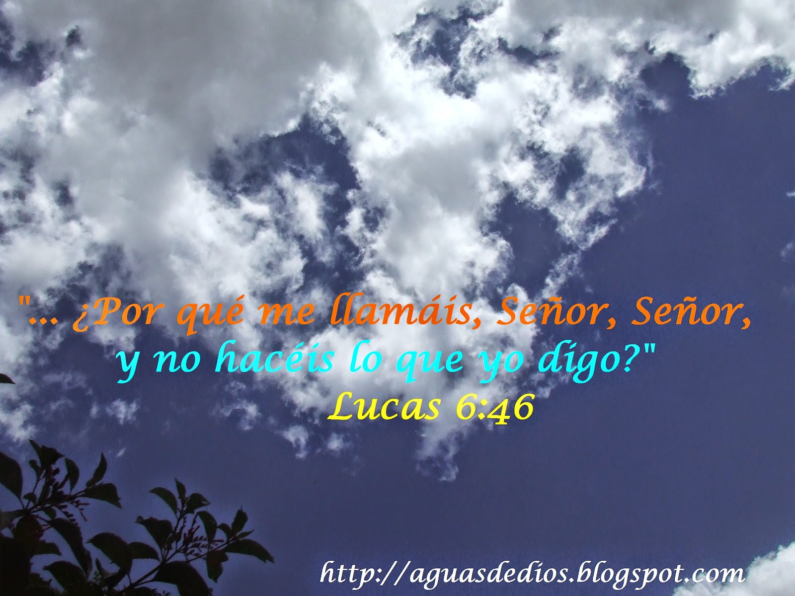 Compartamos la Palabra de Elohim ¿Por qué me llamáis, Señor, Señor, y no hacéis lo que yo digo?