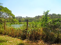 Parque Ecológico de Barueri