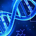 Στο κυνήγι του DNA του Ιησού! Ψάχνουν απογόνους του!