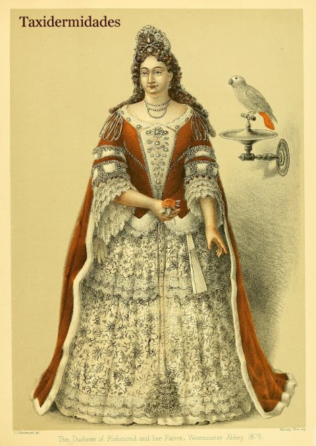 El loro de Frances Teresa Stuart, duquesa de Richmond y Lennox