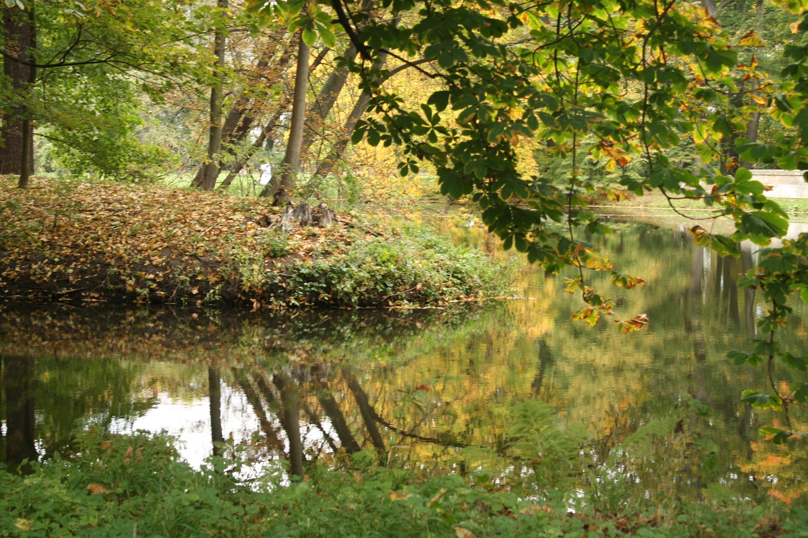 Kraina Wędrujących Wysp Arkadyjskie ustronia