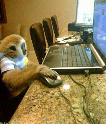 Dümmster anzunehmender User - lustig am PC Dümmster anzunehmender User - lustig am PC
