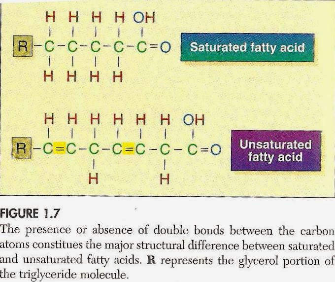 Our Kitchen Lab: The Butter - Margarine Debate --- Which ... Our Kitchen Lab: The Butter - Margarine Debate --- Which ...