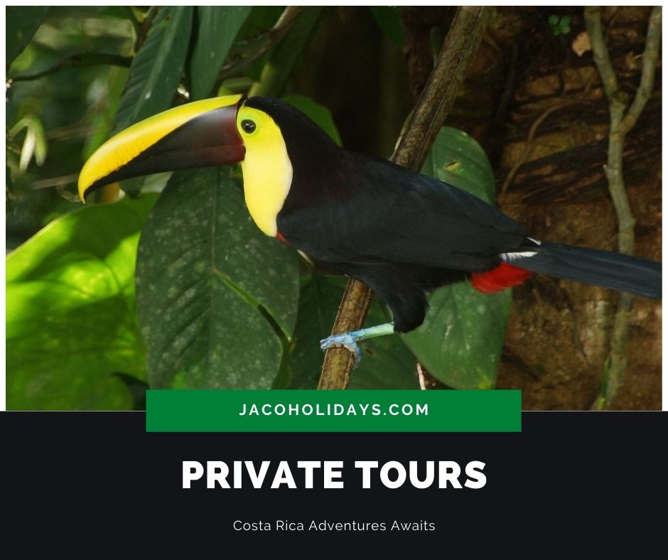 Private Tours