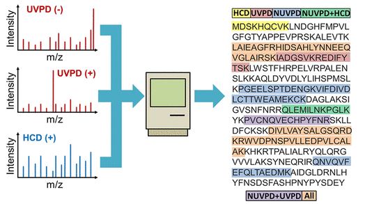 Journal of proteome research image