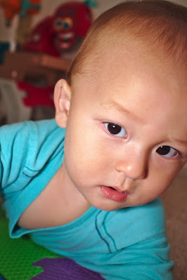 Infant with light blue shirt and black hair looking at the camera