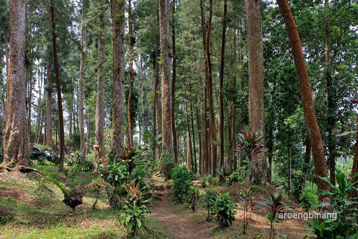 telaga sunyi baturraden banyumas