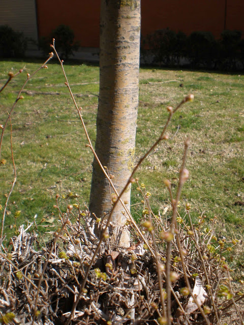 sociedad de diletantes: Continuo cambio