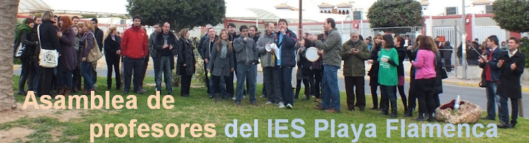 Asamblea de Profesores IES Playa Flamenca