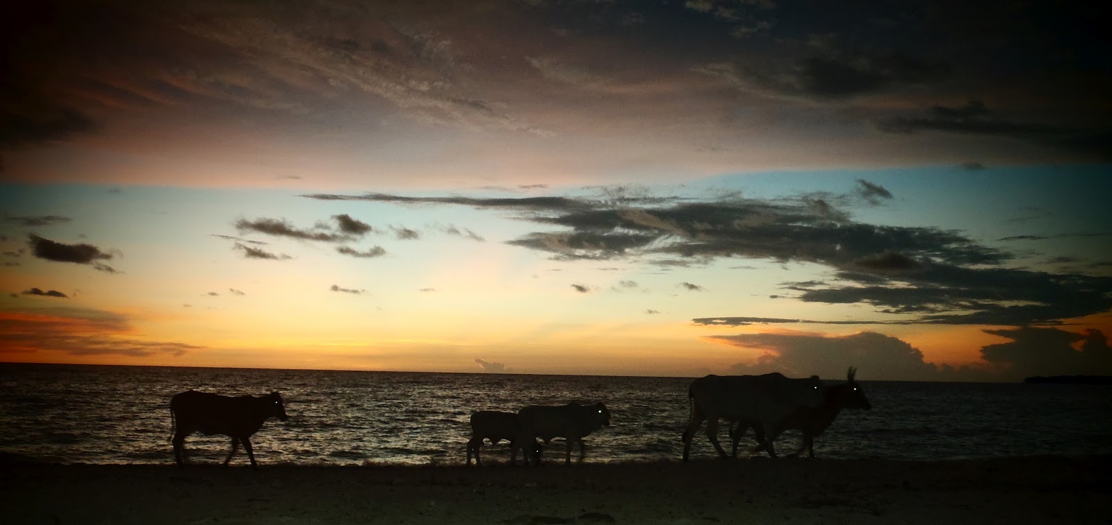 La Ruta de la Libertad: Wo das Meer leuchtet und die Kühe auf