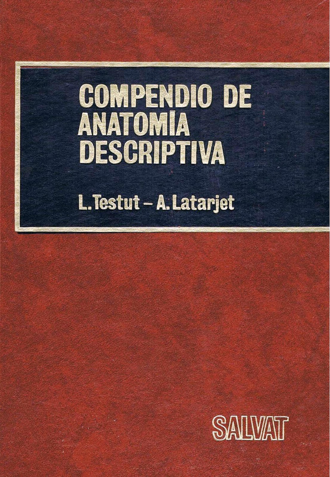 Traductor Traductor