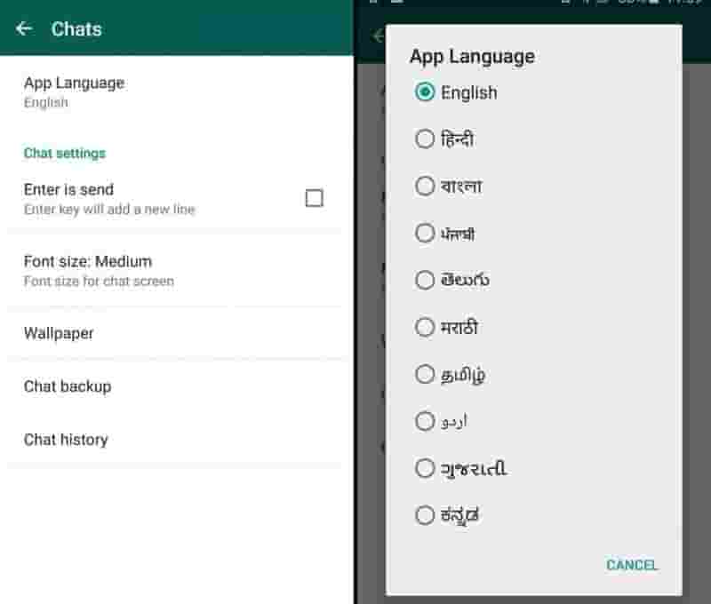Whatsapp Language selected Option