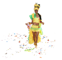 Carnival info