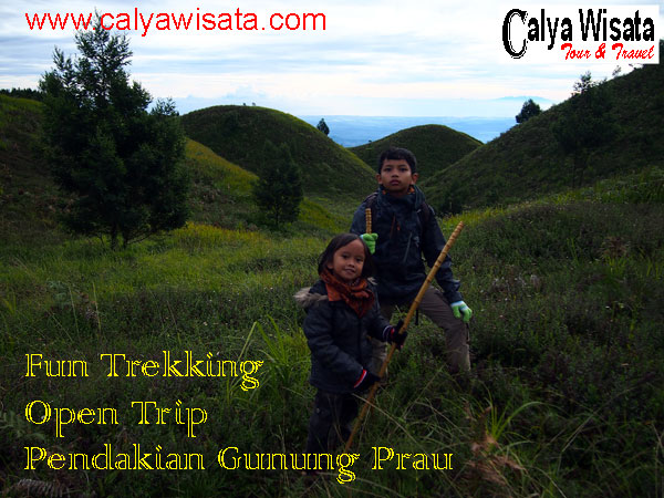 Puncak Teletubbies Gunung Prau Puncak Teletubbies Gunung Prau