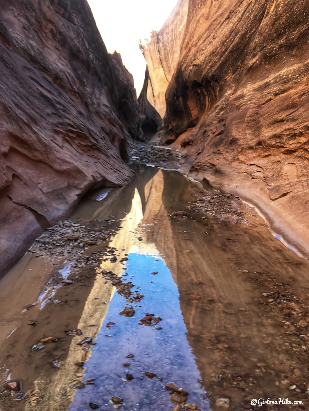 Backpacking Halls Creek Narrows, Capitol Reef National Park Girl on a
