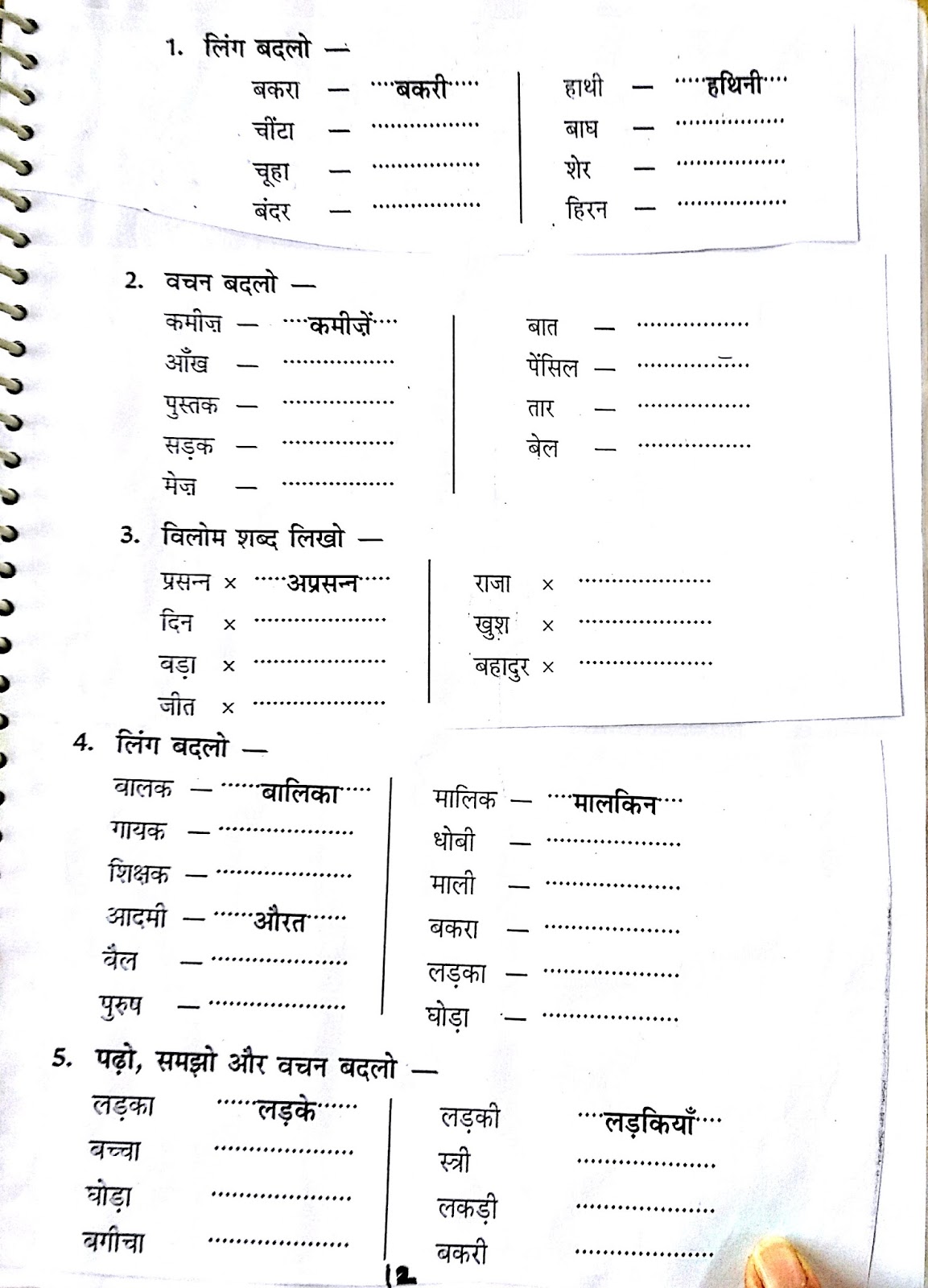 Hindi Grammar Worksheet