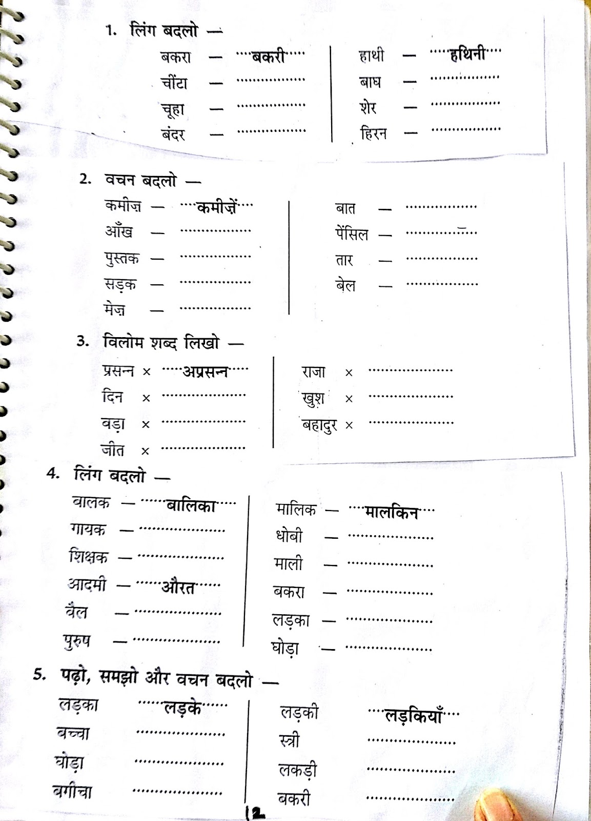hindi vachan worksheet - hindi grammar ekvachan anekvachan worksheet 3