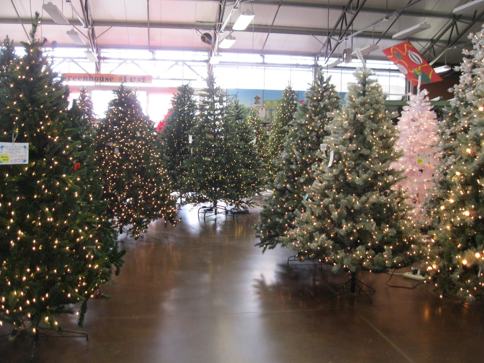 Hafner's Garden Center, North Syracuse, NY..... Pandora's Box