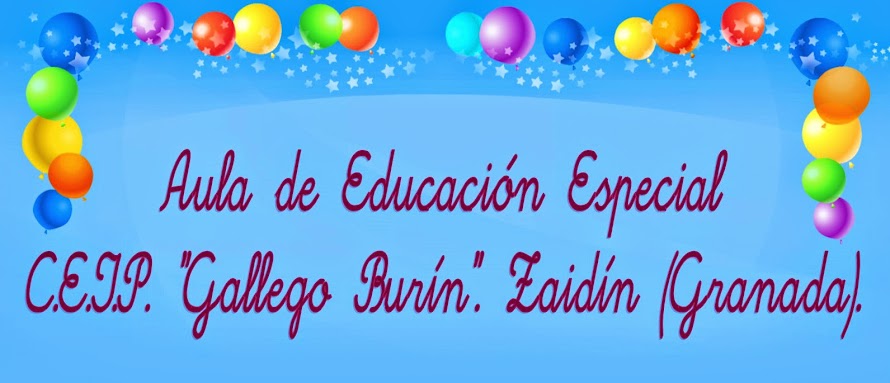Aula Específica de Educación Especial. C.E.I.P. "Gallego Burín". Granada.