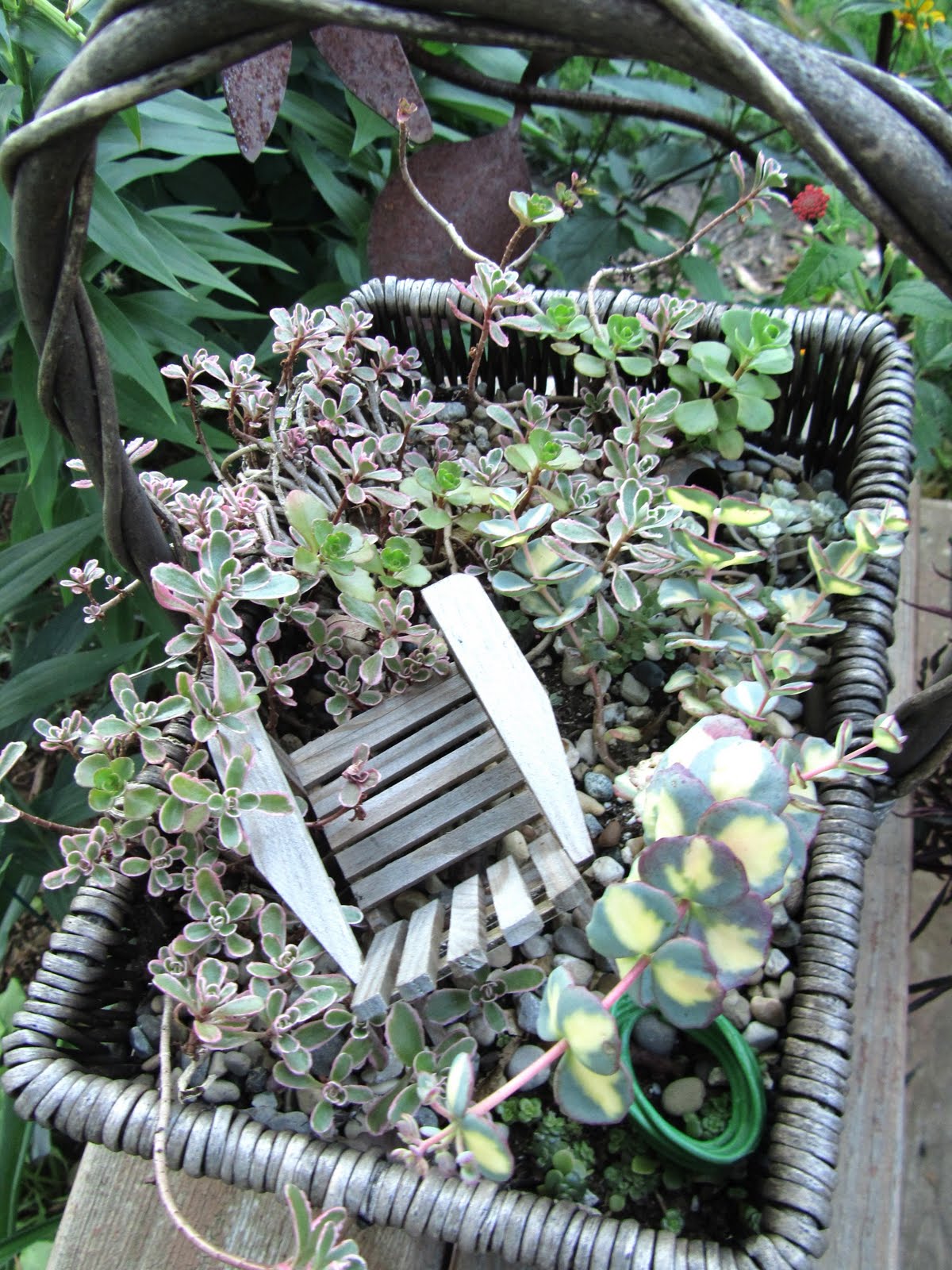 Cheesehead Gardening: Miniature Container Gardens / Fairy ...