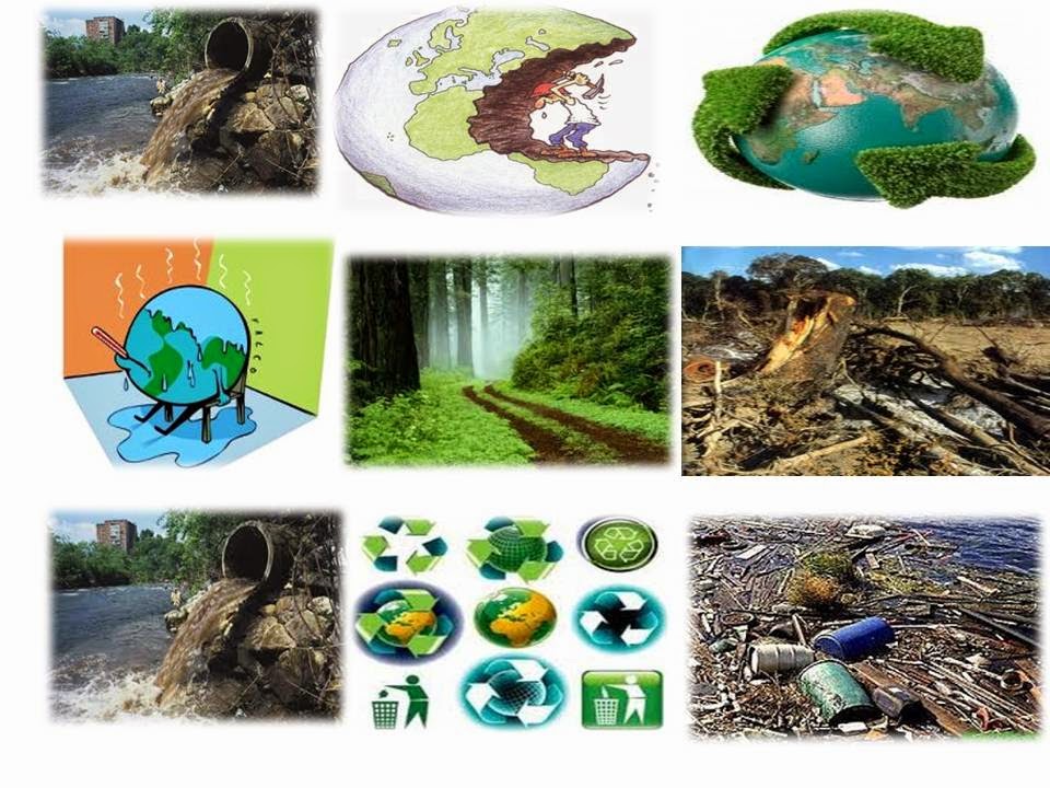 Desarrollo sustentable Collage impacto positivo y negativo de las actividades humanas en la Desarrollo sustentable Collage impacto positivo y negativo de las actividades humanas en la