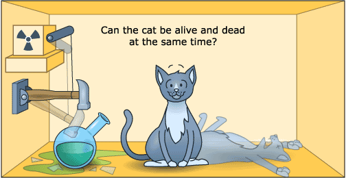 Резултат слика за schrodinger cat