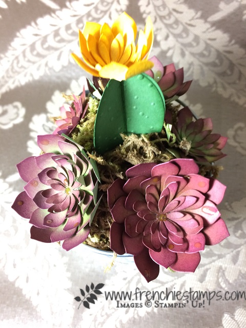 So Succulent, Cactus, Stampin'Up!
