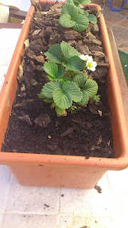 La terraza de Gerión: marzo 2013