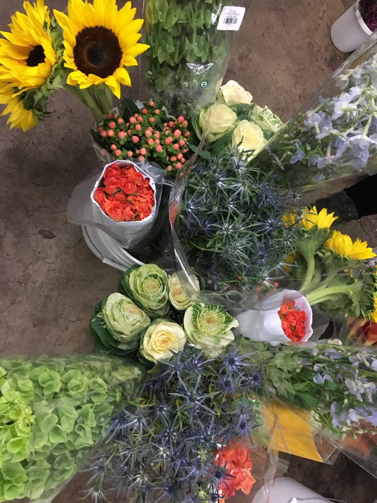 Rowan's Story Part 5 "The Flowers"