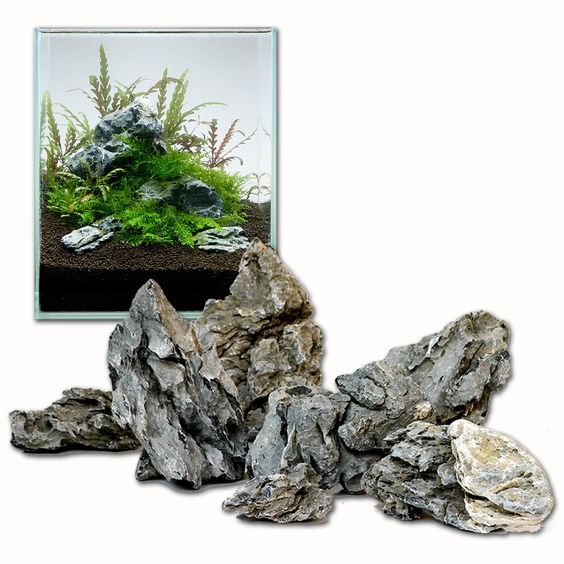 Beberapa Jenis Batu Yang Sering Dipakai Untuk Aquascape