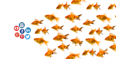 Influencer Marketing - Definition, Themen & Werbeformen DIM