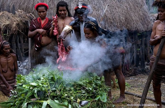 TERAS BLOG Mengintip Kehidupan  Suku  Pedalaman  di Papua