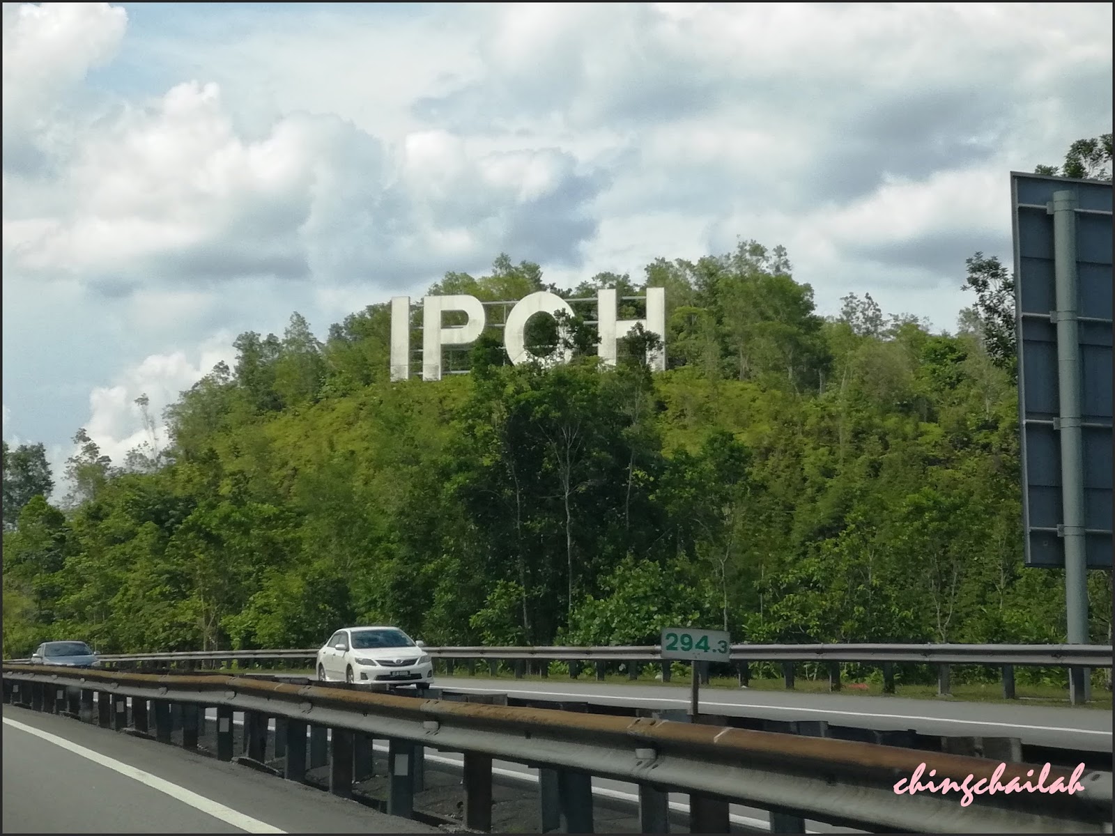 Simple Living In Nancy Large Sunflowers In Cameron Highlands