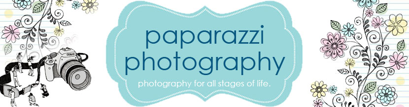 Paparazzi Photography - The Blog