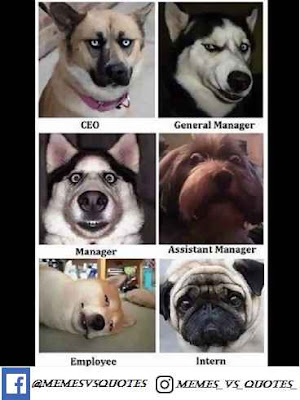 funny memes about work Post meme
