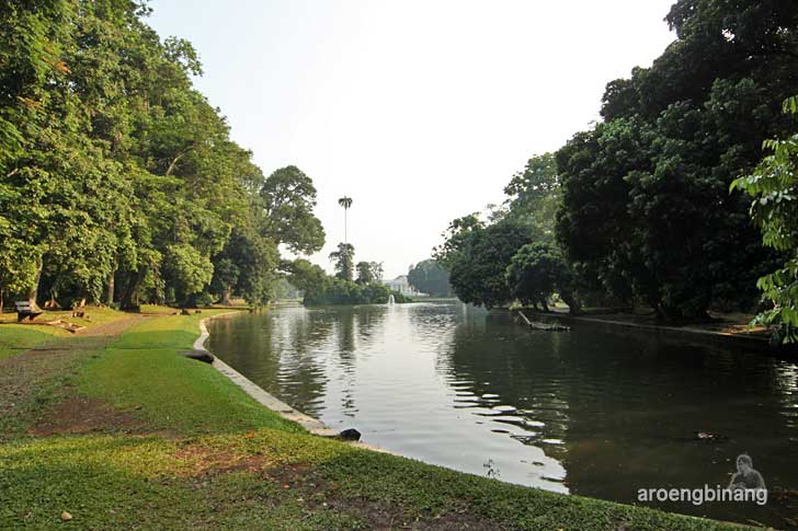 kolam gunting kebun raya bogor