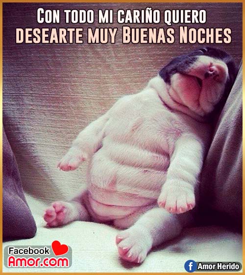 tiernas imágenes de buenas noches tiernas imágenes de buenas noches