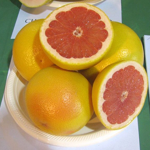 Pomelo (Citrus paradisi) Frutas del mundo