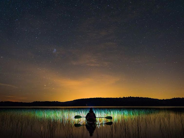National Geographic - Best Wildlife Pictures of January 2016 National Geographic - Best Wildlife Pictures of January 2016