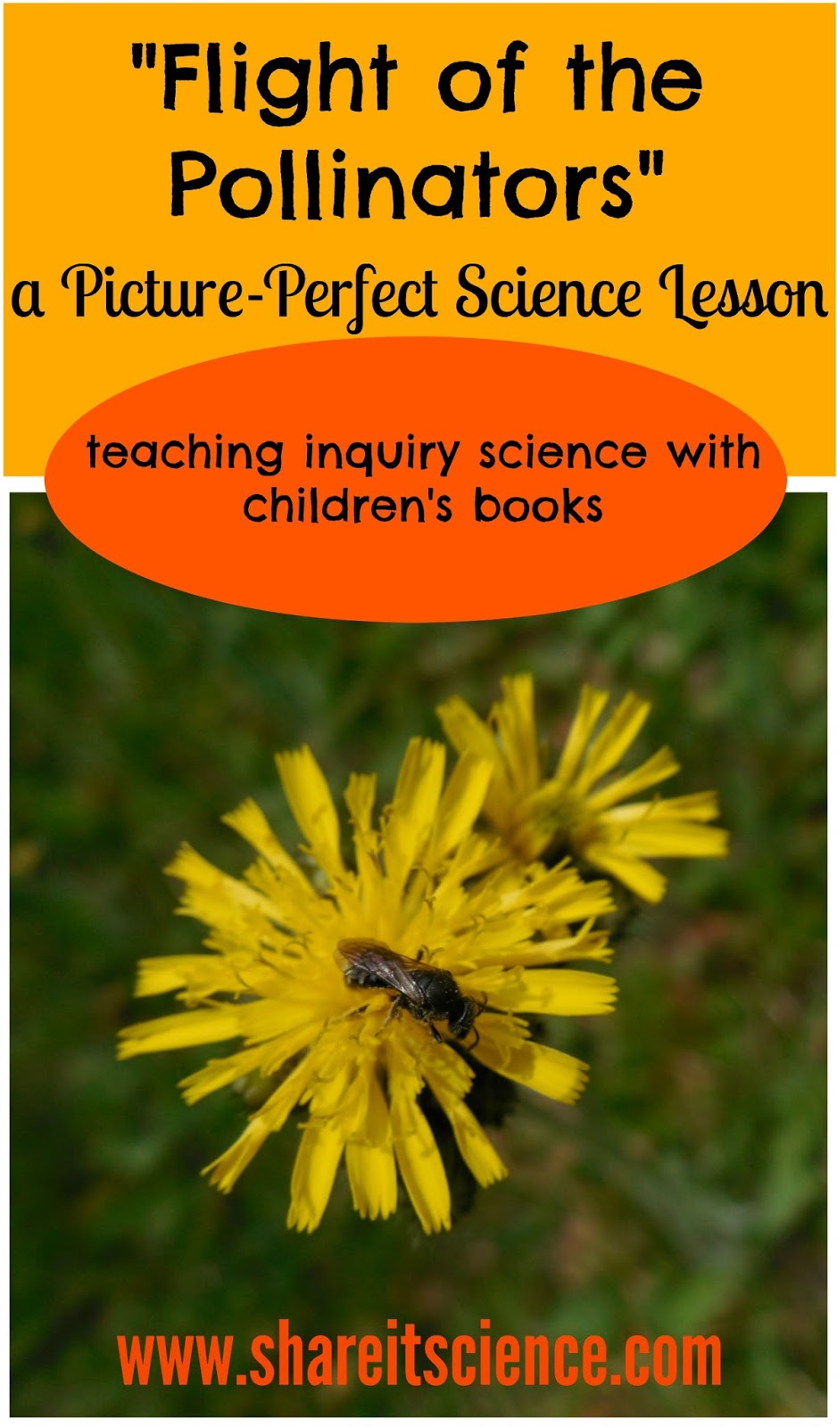 Share it! Science "Flight of the Pollinators" a PicturePerfect