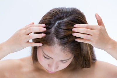6 bénéfices de l'aloe vera pour vos cheveux 6 bénéfices de l'aloe vera pour vos cheveux