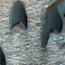  Εντυπωσιακές εικόνες από τον Άρη με αμμόλοφους σε σχήμα...